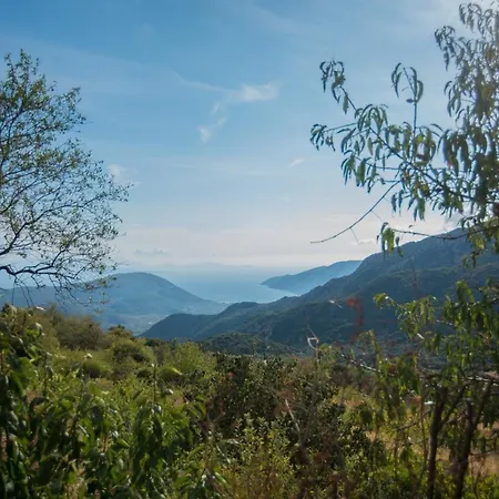 Cottage Hill Agios Ilias  Exterior photo